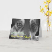 Castreer Onzijdig goedkeuren de Redding van de Kaart (Gele Bloem)