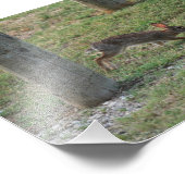 Casual Bunny Foto Afdruk (Hoek)