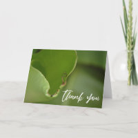 Casual handschrift Banana Leaf Foto