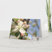 Casual handschrift dank je appelbloesems