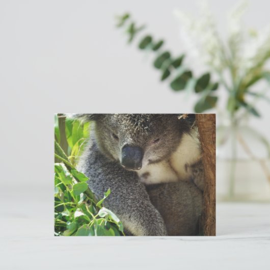Casual Koala Briefkaart (Staand voorkant)