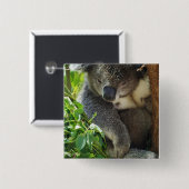 Casual Koala-Button Vierkante Button 5,1 Cm (Voorkant /achterkant)