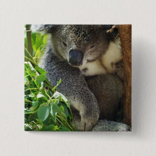 Casual Koala-Button Vierkante Button 5,1 Cm
