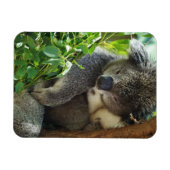 Casual Koala Flexible Magnet Magneet (Horizontaal)