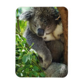 Casual Koala Flexible Magnet Magneet (Verticaal)