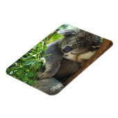Casual Koala Flexible Magnet Magneet (Linkerzijde)