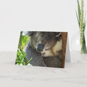 Casual Koala-Wenskaart Kaart