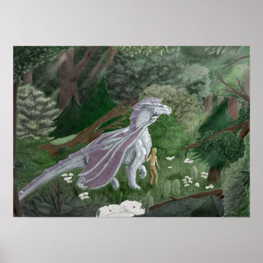 CasualStrollElf&Dragon Poster (Voorkant)