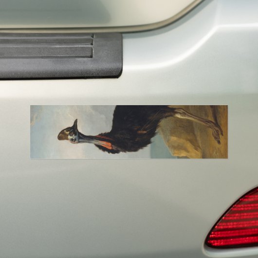 Casuaris (Australische Vogel) (Wild Dieren Kunst) Bumpersticker (Op auto)