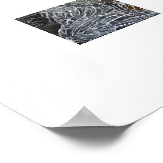 Cat3 - Fotobom Poster (Hoek)