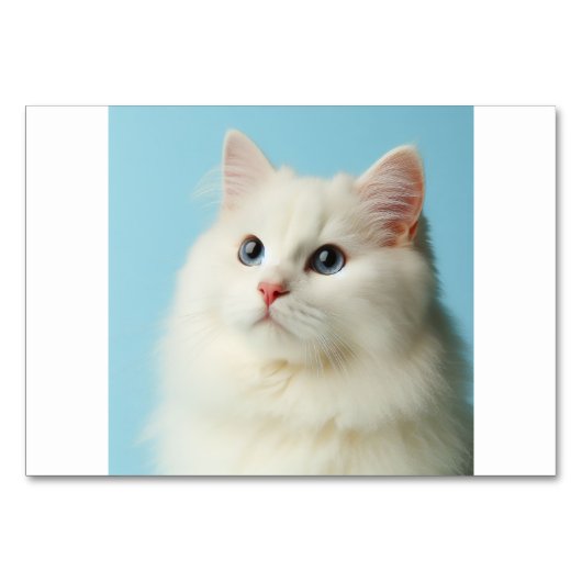 Cat (猫 / ねこ) - Japanse Flash Kaarten (Voorkant)