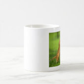 cat_0084 koffiemok (Center)