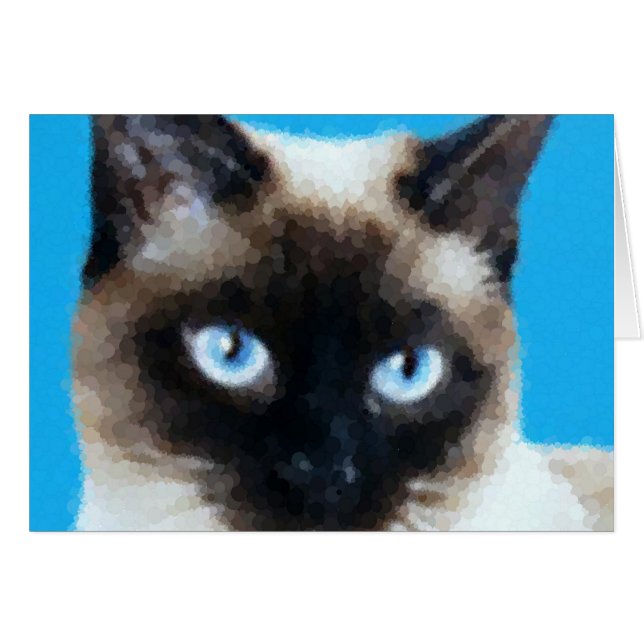 Cat 1 (Voorkant Horizontaal)