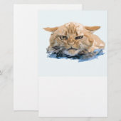CAT 10 BRIEFPAPIER (Voorkant / Achterkant)