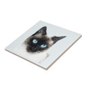 CAT 11 TEGELTJE (Zijkant)