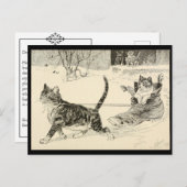  Cat 1883 Illustration, Fun Ride in a Shoe Briefkaart (Voorkant / Achterkant)