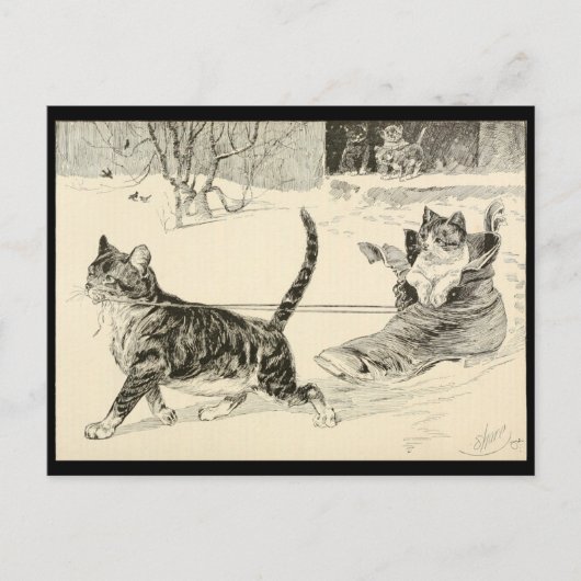  Cat 1883 Illustration, Fun Ride in a Shoe Briefkaart (Voorkant)