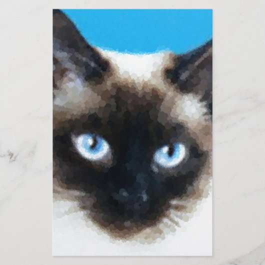 Cat 1 briefpapier (Voorkant)