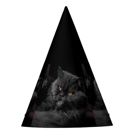 Cat_20180101_by_JAMFoto Feesthoedjes (Voorkant)