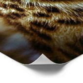 cat-301154 WILD BIG CAT-LEOPARD DIERLIJKE FOTOGRAF Poster (Hoek)