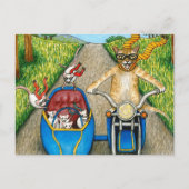 Cat. 384 briefkaart (Voorkant)