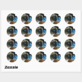 Cat 396 Siamese Ronde Sticker (Vel)