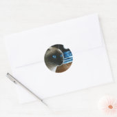 Cat 396 Siamese Ronde Sticker (Envelop)