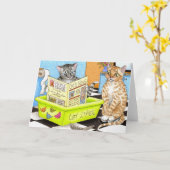 CAT 464-kaart Kaart (Gele Bloem)