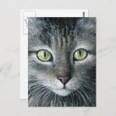 Cat 478 briefkaart (Voorkant / Achterkant)