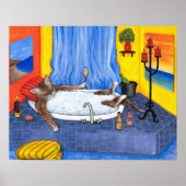 Cat. 537 poster (Voorkant)