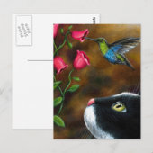 Cat 571 Tuxedo met Hummingbird Briefkaart (Voorkant / Achterkant)