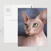 Cat 578 Sphynx Briefkaart (Voorkant / Achterkant)