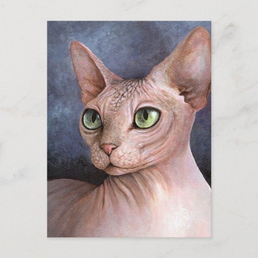 Cat 578 Sphynx Briefkaart (Voorkant)
