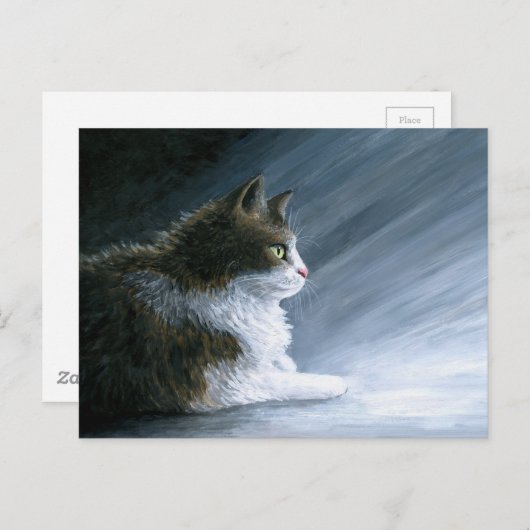 Cat. 594 briefkaart (Voorkant / Achterkant)