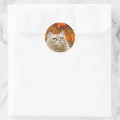 Cat 598 Persian Fall Autumn Ronde Sticker (Tas)