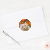Cat 598 Persian Fall Autumn Ronde Sticker (Envelop)
