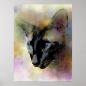 Cat 620 Siamese Poster (Voorkant)