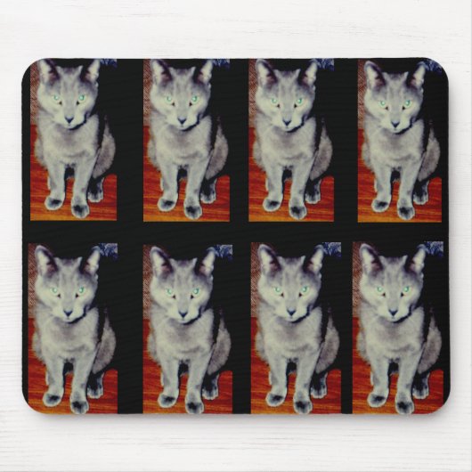 Cat #6, Mousepad Muismat (Voorkant)