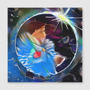 Cat 6 - Zonneeclipes