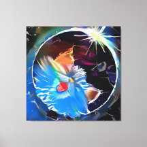 Cat 6 - Zonneeclipes