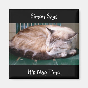 Cat 7, het is Nap Time, Simon Says, Magnet