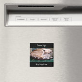 Cat 7, het is tijd voor een dutje, Simon zegt, mag Magneet (Insitu (Vaatwasser))