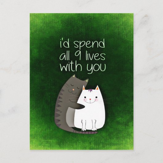 cat-859033.jpg briefkaart (Voorkant)