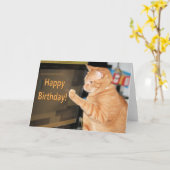 cat·a·stroph·ic verjaardagen niet toegestaan kaart (Gele Bloem)