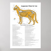 Cat Acupressure Acupunctieschema Poster (Voorkant)