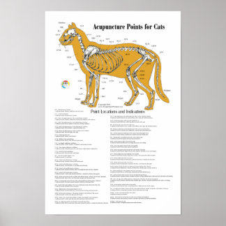Cat Acupressure Acupunctieschema Poster