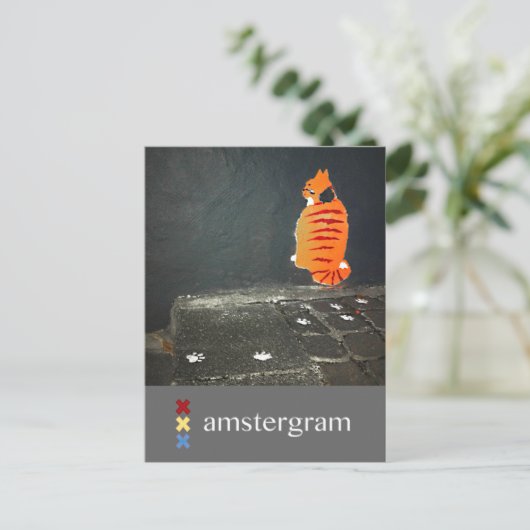 Cat Amsterdam Briefkaart (Staand voorkant)