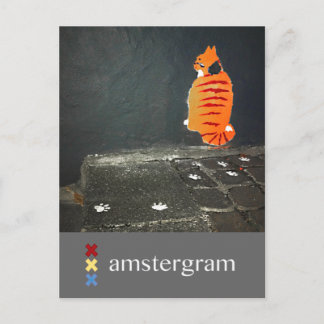 Cat Amsterdam Briefkaart