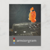 Cat Amsterdam Briefkaart (Voorkant)