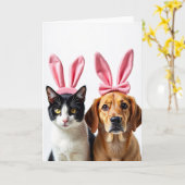 Cat And Dog Friends Fun Card Kaart (Gele Bloem)